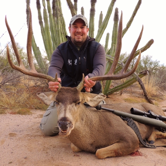 Mule Deer